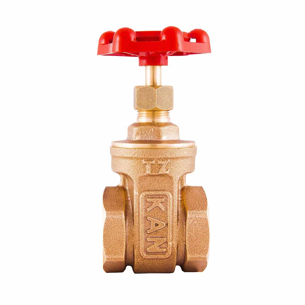 Bronze Gate Valve